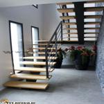 scara vang central (2)